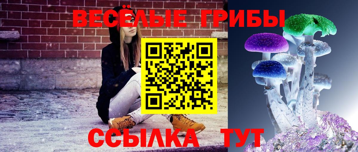 наркотики  Вход с VPN  Кропоткин  Псилоцибиновые грибы прущие грибы 